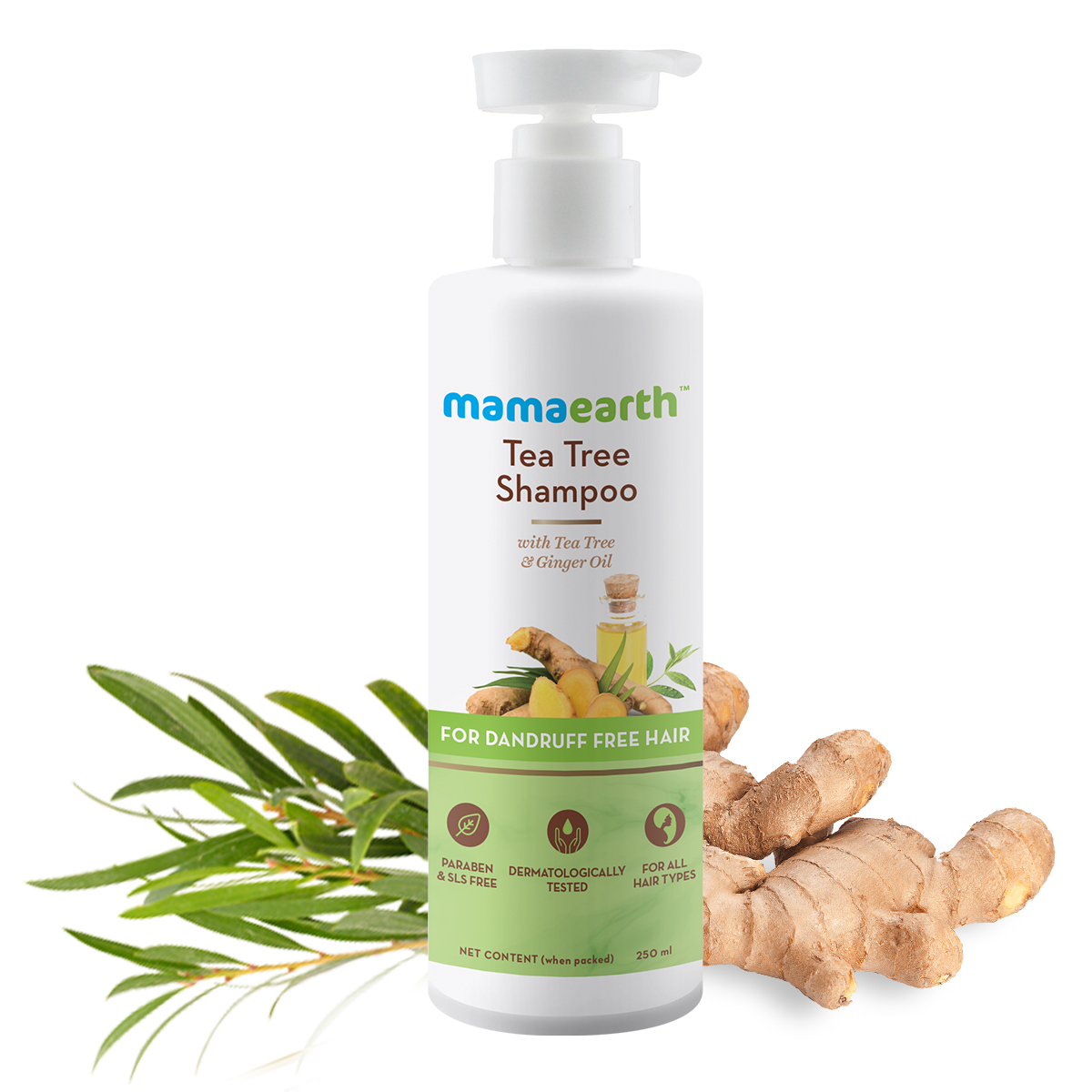 Mamaearth Tea Tree Shampoo 250ml